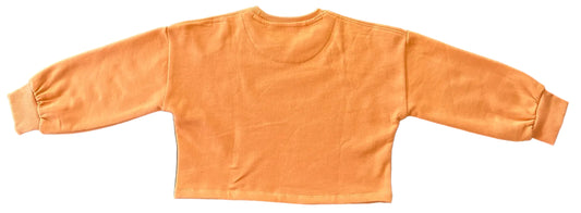 Sunset Fleece Crop Top/ Jumper