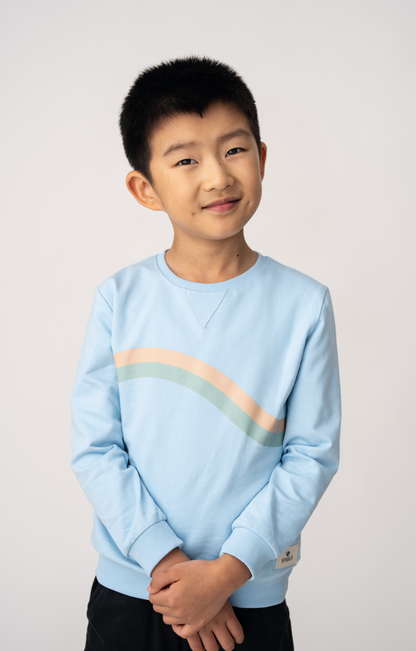 Horizon Stripe Cotton Jumper