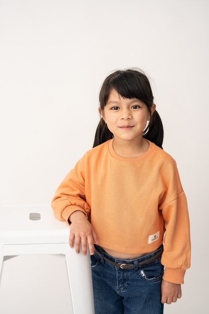Sunset Fleece Crop Top/ Jumper